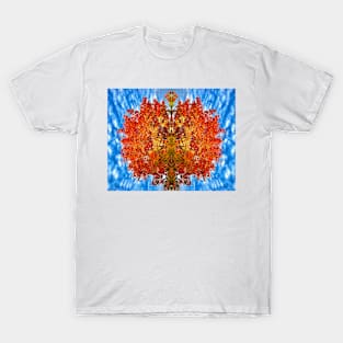 A Kaleidoscope by Mother Nature T-Shirt